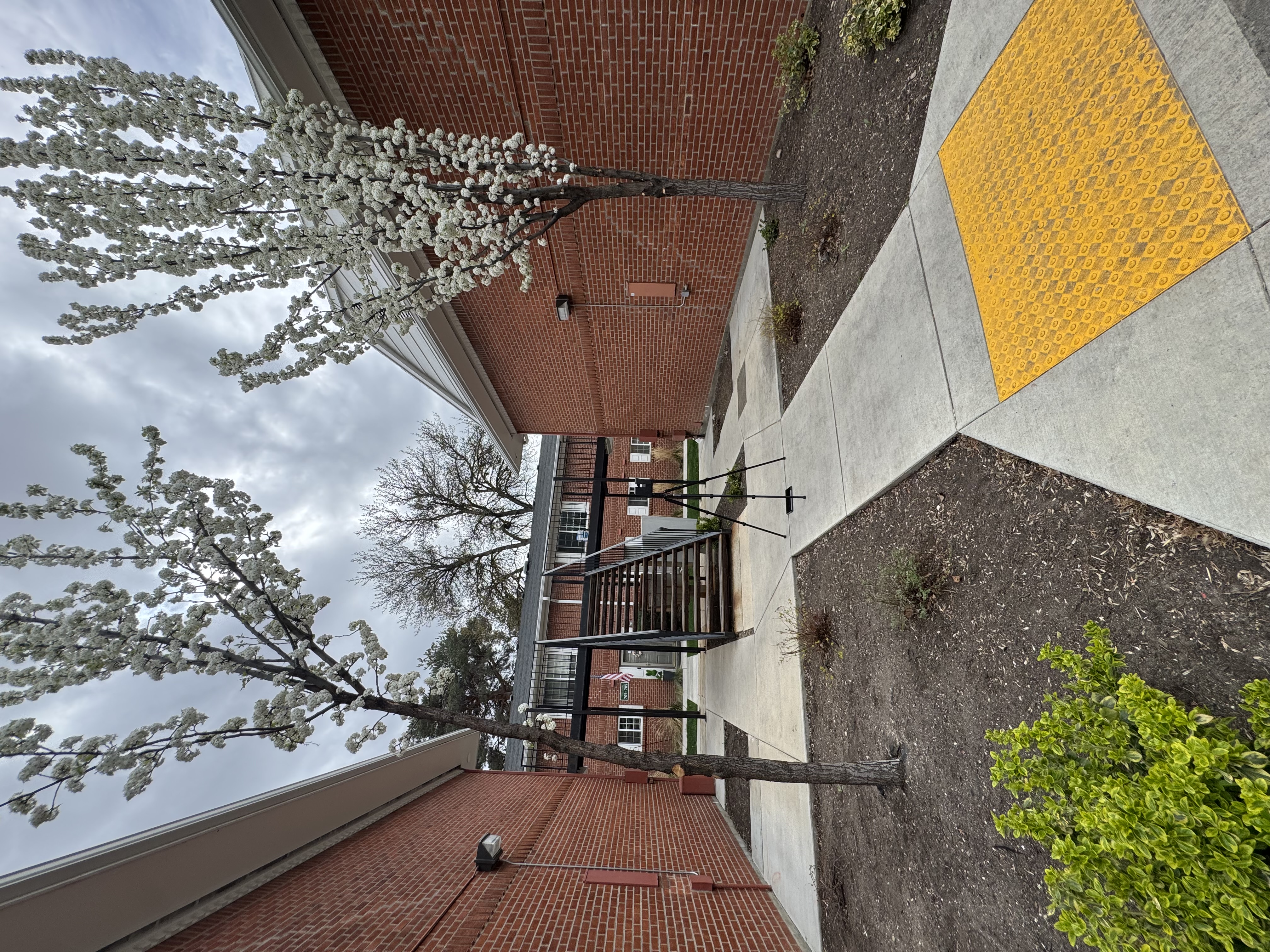 Laser scanning site - building facade capture