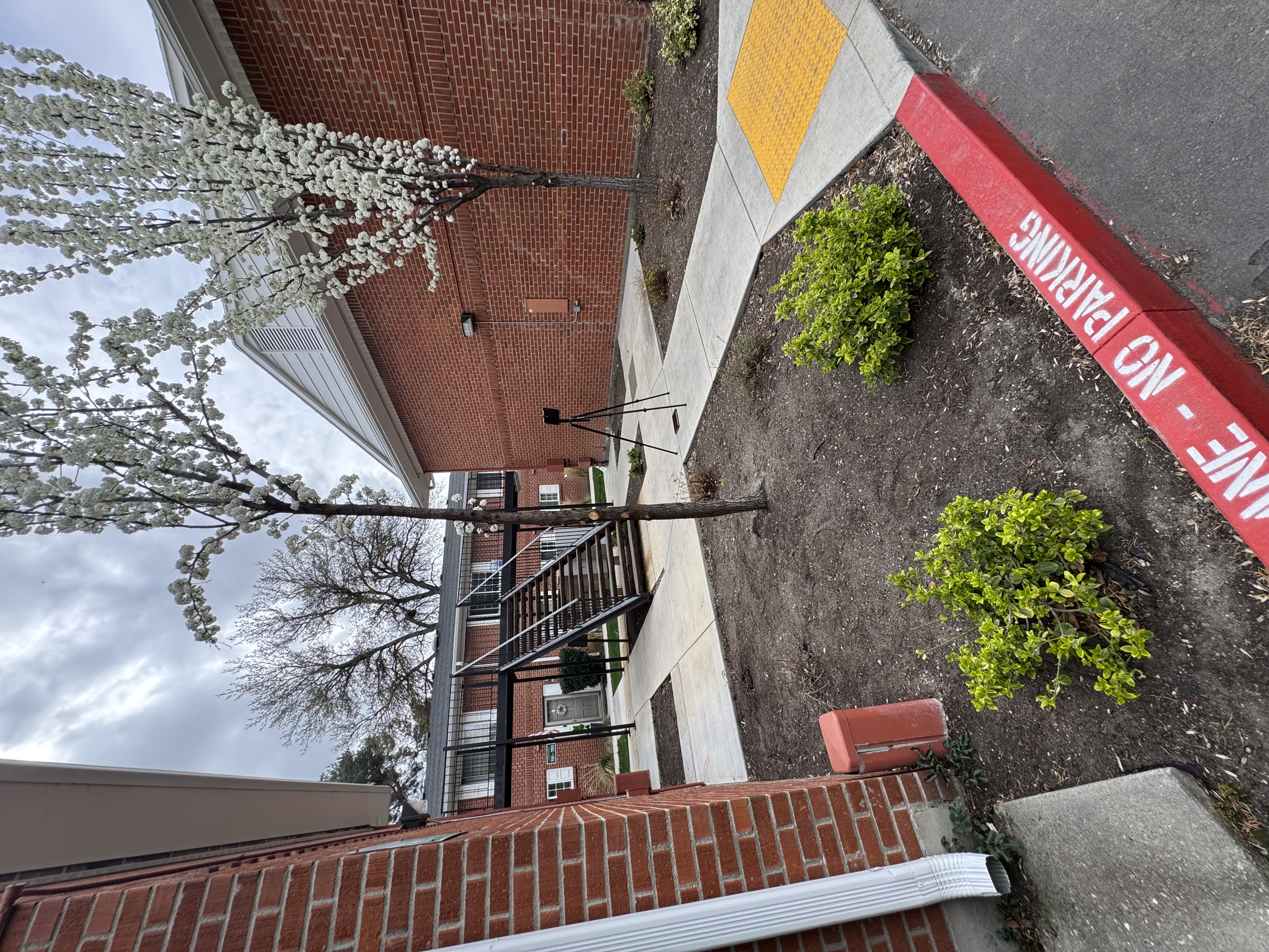 Laser scanning site - exterior documentation